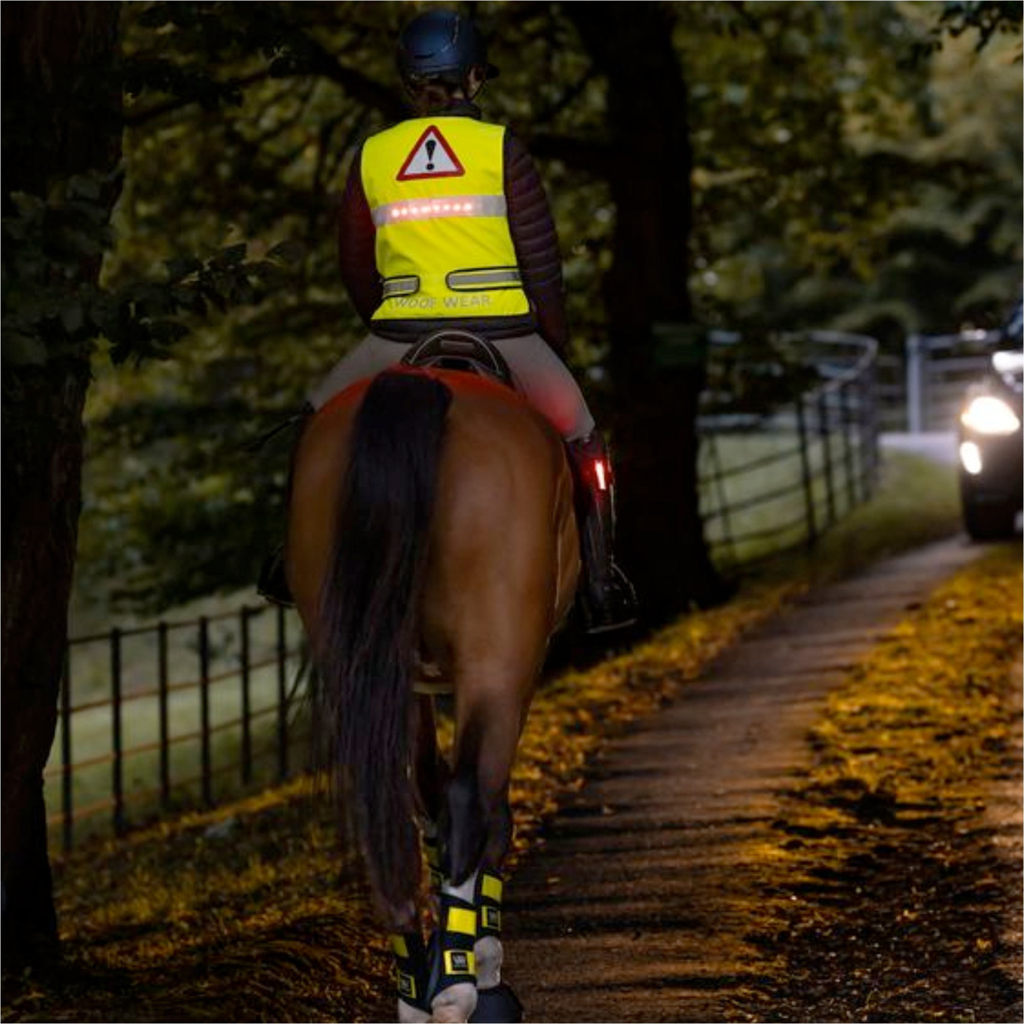 2025 Woof Wear LED Hi Vis Riding Vest WA0036-VZYE - Hi Viz
